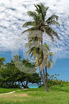 Caribbean beach