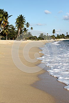 Caribbean beach