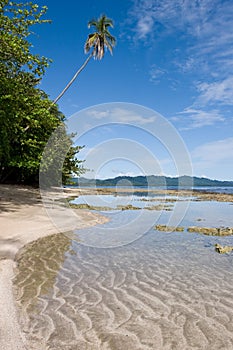 Caribbean Beach