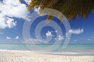 Caraibico Spiaggia 