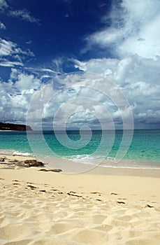 Caribbean Beach with Approaching Storm