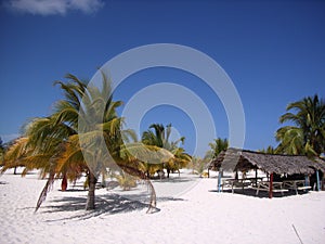 Caribbean beach bar