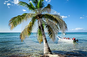 Caribbean beach with boat floating on the sea