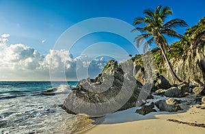 Caribbean beach with coconut palm, Tulum, Mexico photo