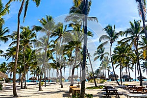 Caribbean beach, Dominican Republic.