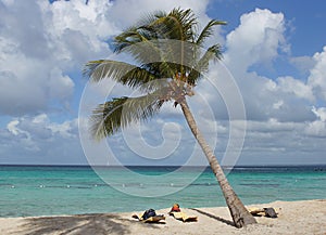 Caribbean Beach, Dominican Republic