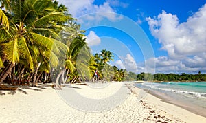 Caraibico Spiaggia domenicano 