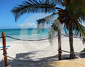 Caribbean beach framed by a palm tree and boardwalk railing