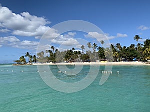 Caribbean Beach