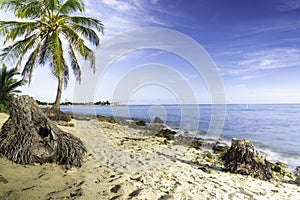 Caribbean beach long exposure