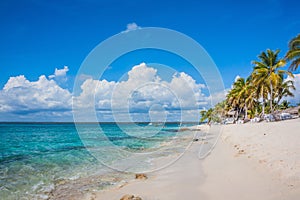 Caribbean beach with a lot of palms and white sand, Dominican Republic. Sunny warm day at the sea under palm trees. Sun loungers