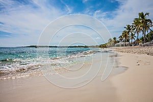 Caribbean beach with a lot of palms and white sand, Dominican Republic. Sunny warm day at the sea under palm trees. Sun loungers