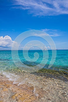 Caribbean beach with a lot of palms and white sand, Dominican Republic. Yachts float in the sea in the background