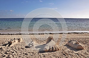 Caribbean beach with a lot of palms and white sand