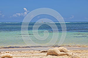 Caribbean beach with a lot of palms and white sand