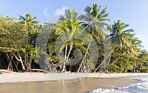 The Caribbean beach , Martinique island.