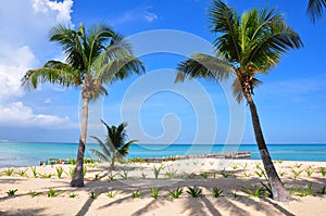 Caribe Playa México 