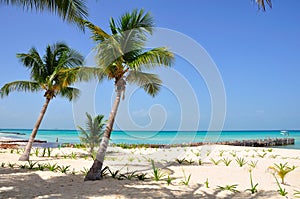 Caribbean Beach, Mexico