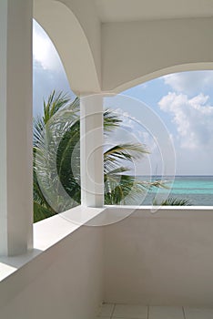 A caribbean beach and palm tree