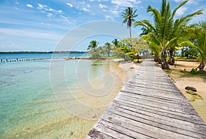 Caribbean beach with palm trees on Bocas del Toro islands in Panama