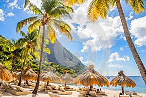 Caribbean beach with palms and straw umrellas on the shore with Gros Piton mountain in the background, Sugar beach, Saint  Lucia