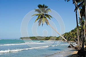 Caribbean beach of playa bonita at Las Terrenas