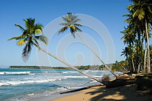 Caribbean beach of playa bonita at Las Terrenas