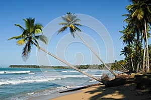 Caribbean beach of playa bonita at Las Terrenas photo