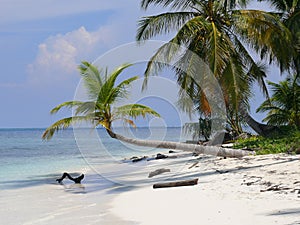 Caribbean Beach San Blas photo