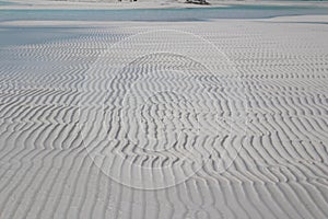 A Caribbean beach in Sandy Cay, Bahamas