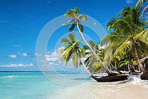 Caribbean beach in Saona island, Dominican Republic