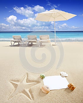 Caribbean beach sea with starfish shells