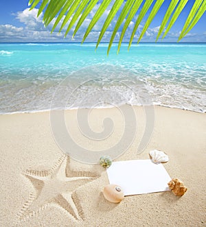 Caribbean beach with starfish shells