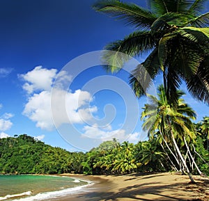 Caribbean Beach - Tobago 07