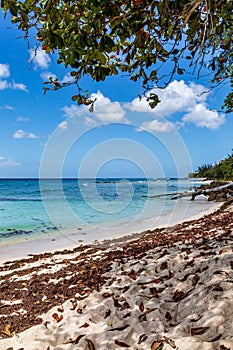 A Caribbean Beach View