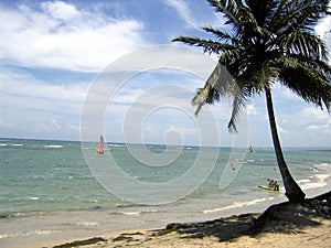 Caribbean beach: watersports