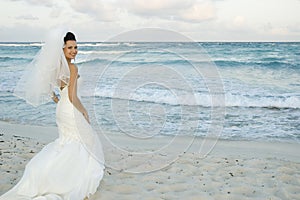 Caribbean Beach Wedding - Brid