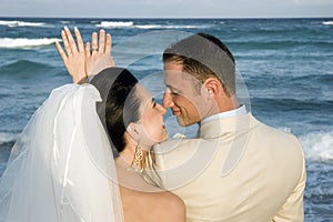 Caribbean Beach Wedding - The Rings