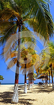 Caribbean beaches photo