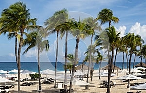 Caribbean Beachfront with Sun Umbrellas, Gazebos and Swaying Palm Trees