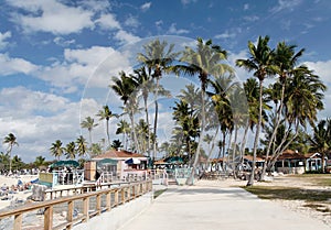 Caribbean Beachlife photo