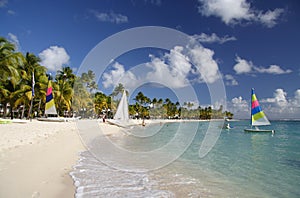 Caribbean Beachlife