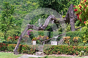 Romney Manor Gardens St Kitts and Nevis