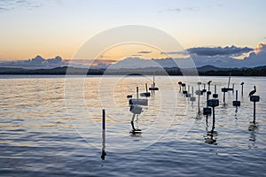 caribbean coast sunset at port of naguabo