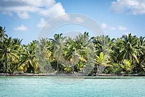 Caribbean coastline