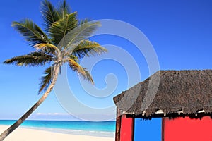 Caribbean coconut palm tree and red hut cabin