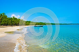 Puerto Viejo Costa Rica Beach Jamaican Palm Trees Caribbean Tourist Destination Paradise Destination Manzanillo Caribbean Turquois photo