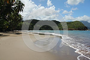 Caribbean Deserted Beach