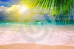 Caribbean Dream beach and palm leaf.