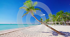 Caribbean exotic island beach shore with palm trees summer tropical destination for vacation